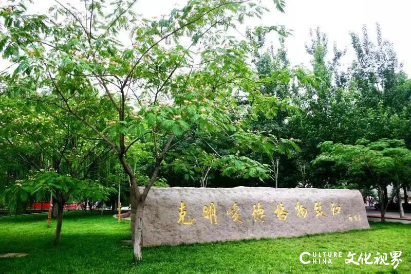 全国财经类高校首例,山财大发布70周年校庆“数字藏品”
