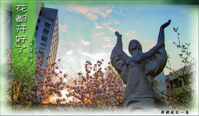 山财大学子们，花都开好了，就等你了！
