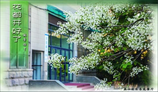 山财大学子们，花都开好了，就等你了！